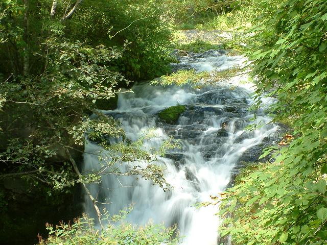 img0010.jpg