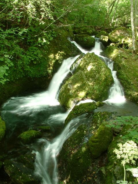 img0011.jpg