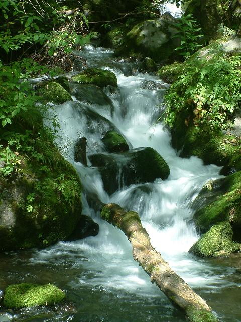 img0012.jpg