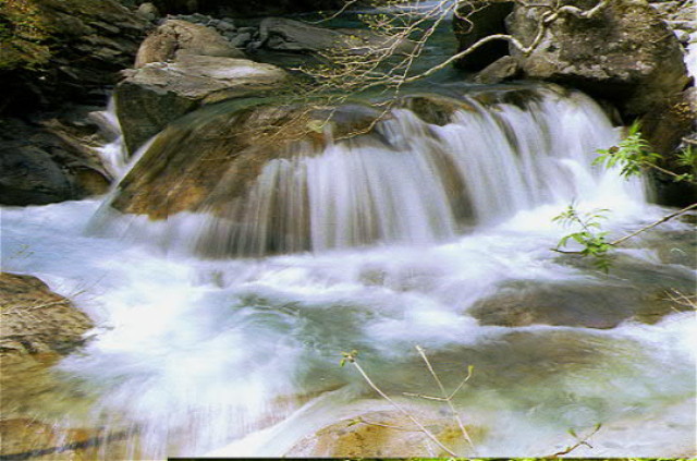 img0014.jpg