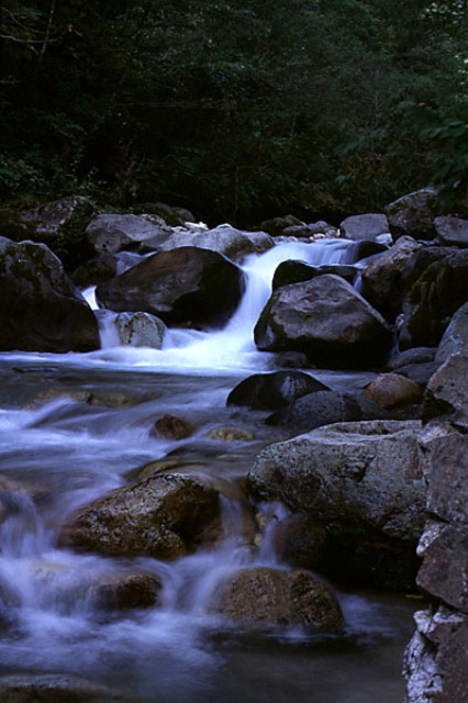 img0015.jpg