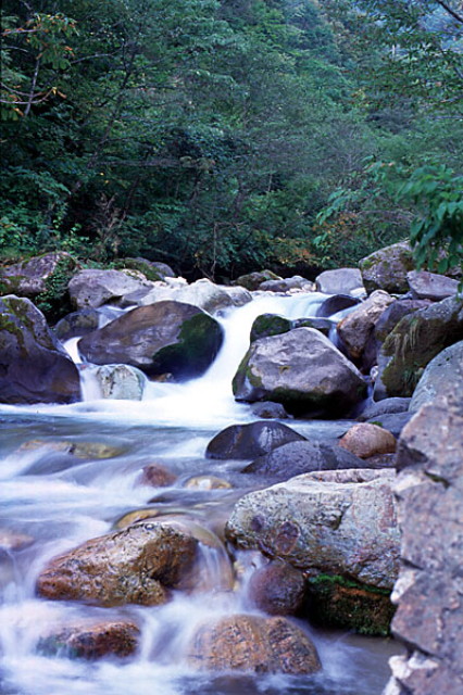 img0016.jpg