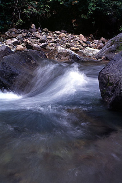 img0017.jpg