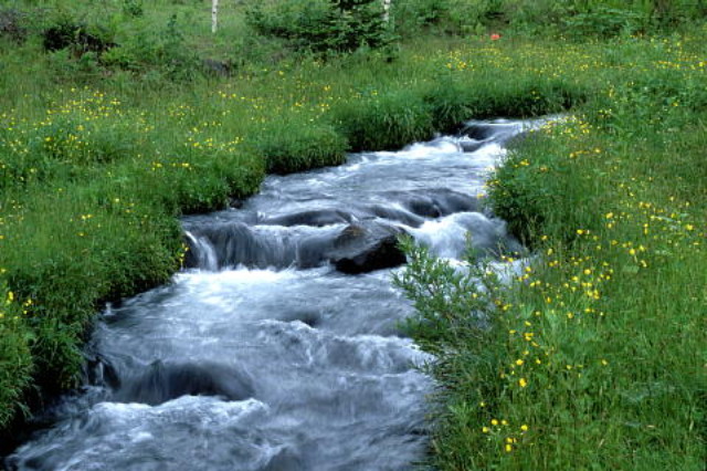 img0018.jpg