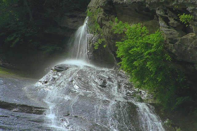 img0020.jpg