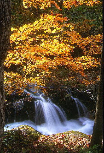 img0025.jpg