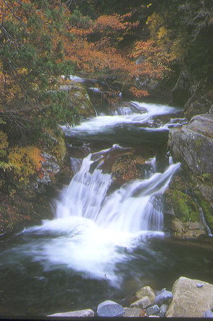 img0026.jpg