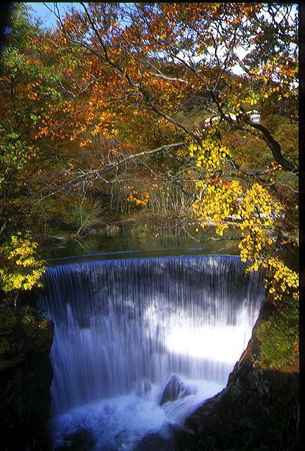 img0027.jpg