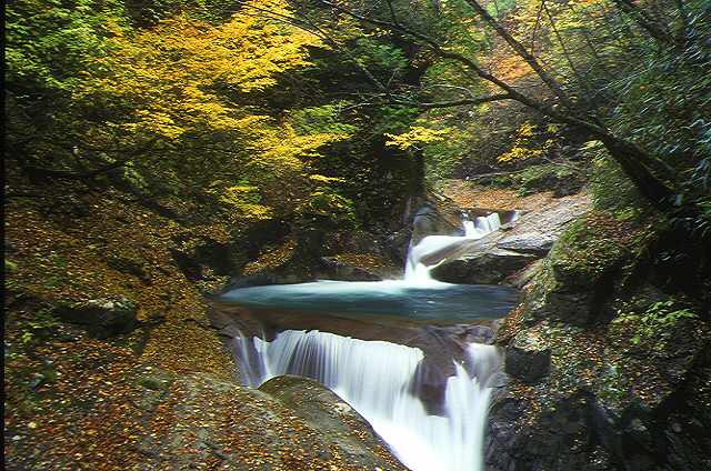 img0028.jpg