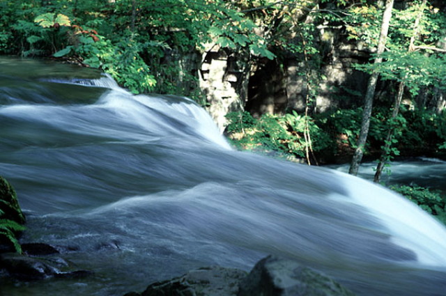 img0039.jpg