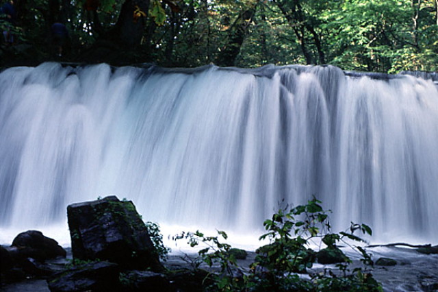 img0040.jpg