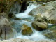 img0007.jpg