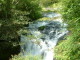 img0010.jpg