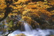 img0019.jpg
