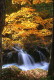 img0025.jpg