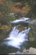 img0026.jpg