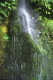 img0029.jpg