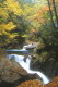 img0031.jpg