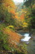 img0032.jpg