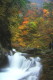 img0033.jpg