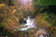 img0035.jpg