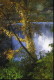 img0036.jpg