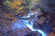 img0037.jpg