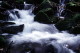 img0041.jpg