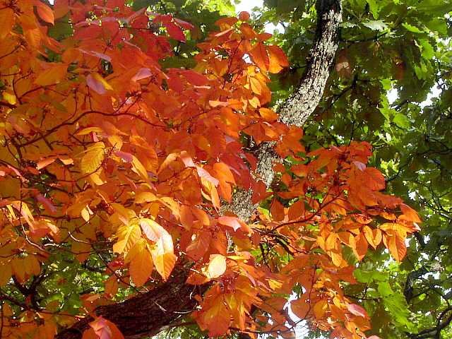 img0025.jpg