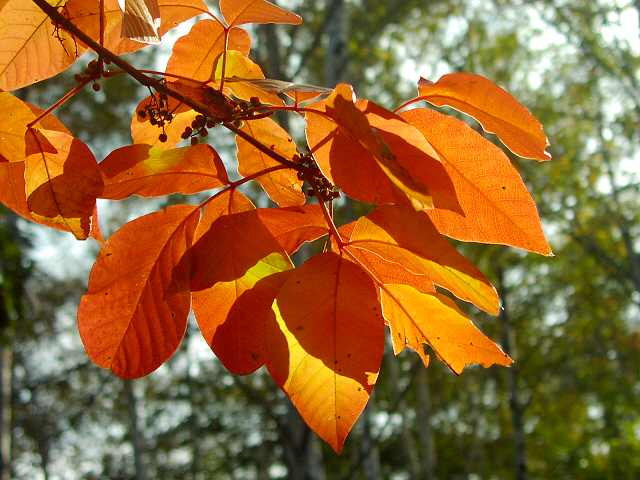 img0028.jpg