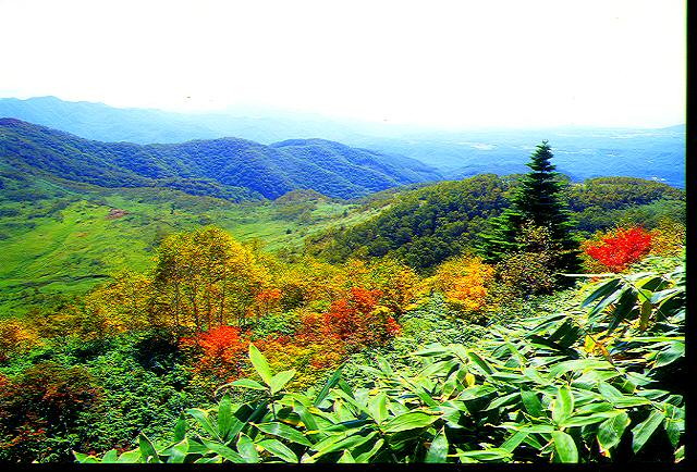 img0041.jpg