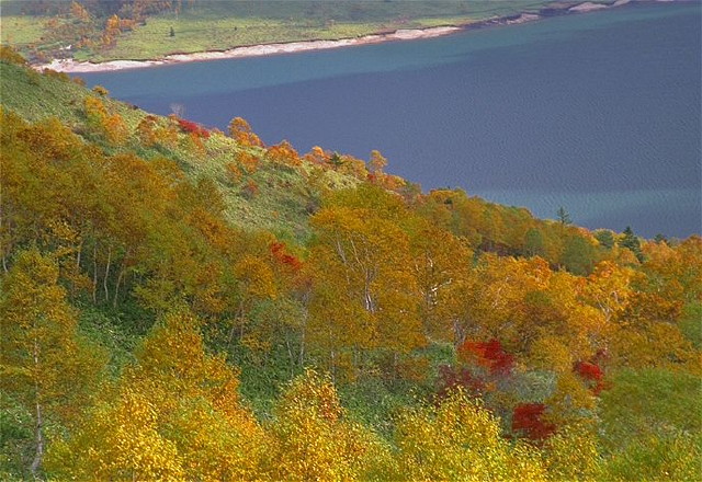 img0053.jpg