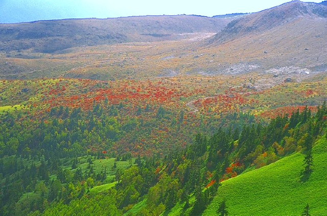 img0055.jpg