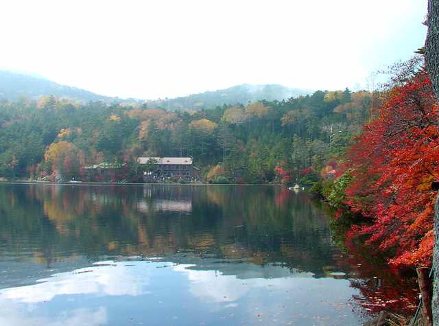 img0059.jpg