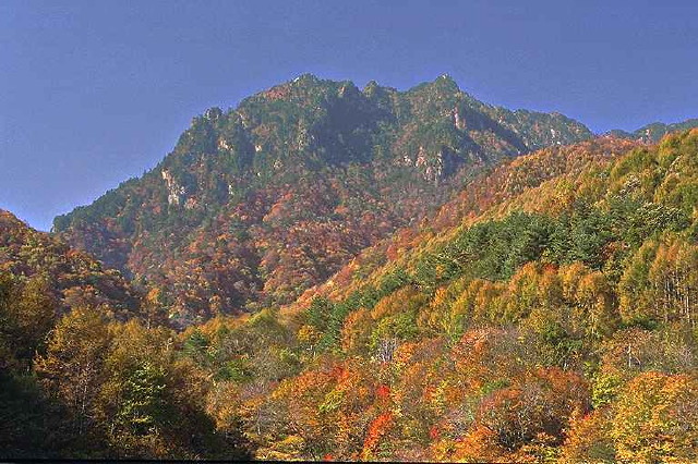 img0068.jpg