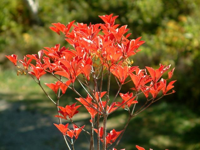 img0082.jpg