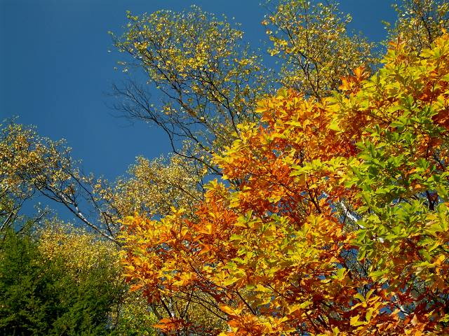img0083.jpg