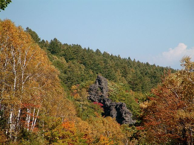 img0084.jpg