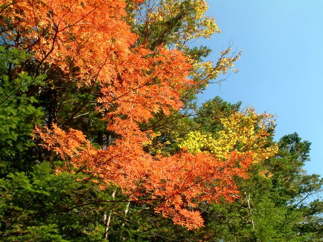 img0091.jpg