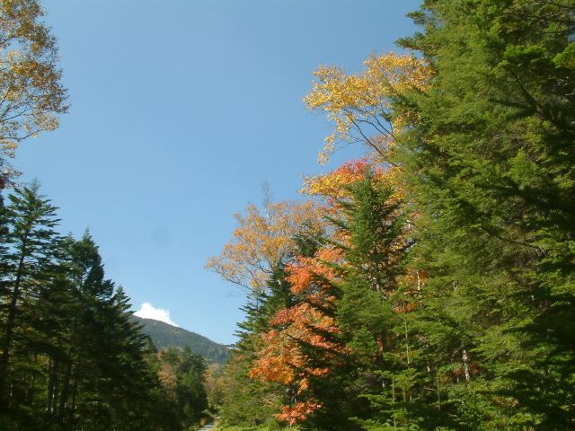 img0093.jpg