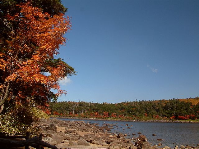 img0096.jpg