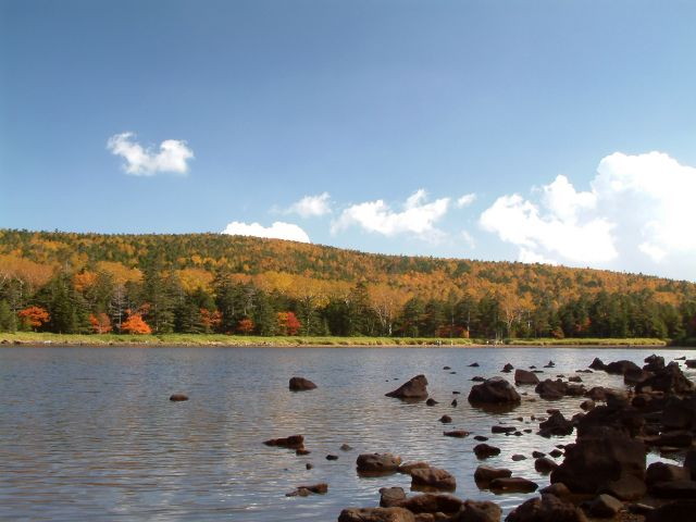 img0097.jpg