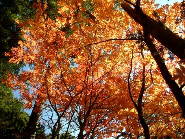 img0099.jpg