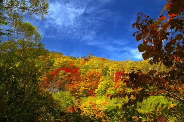img0101.jpg