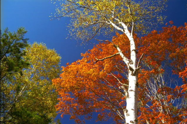 img0102.jpg