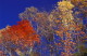 img0000.jpg