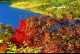 img0002.jpg