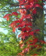 img0008.jpg