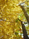 img0009.jpg
