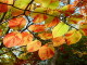 img0014.jpg